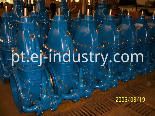 BS5163 Gate Valve by Pass